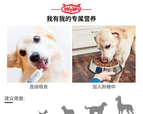 怀孕期间狗狗能吃的东西亮毛是什么？（探究狗狗毛发亮丽的饮食选择和效果）
