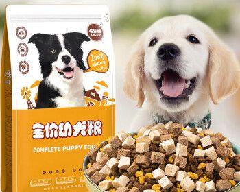 满月土狗的饮食需要注意什么？（探索满月土狗饮食营养需求和喂养技巧）