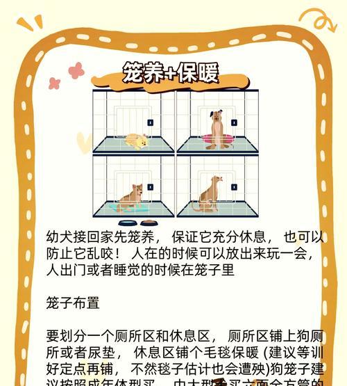 狗疫苗（保护爱宠免受致命细菌威胁）