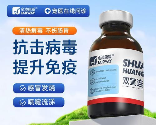 如何治疗宠物狗的感冒（选择适合的药物来缓解狗狗的感冒症状）