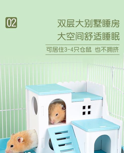 仓鼠笼子的理想铺垫物（打造舒适、安全的仓鼠家园，选择合适的铺垫材料至关重要）