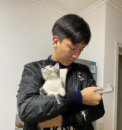 母猫为何偏爱男主人（探究母猫对男性主人的偏好原因）