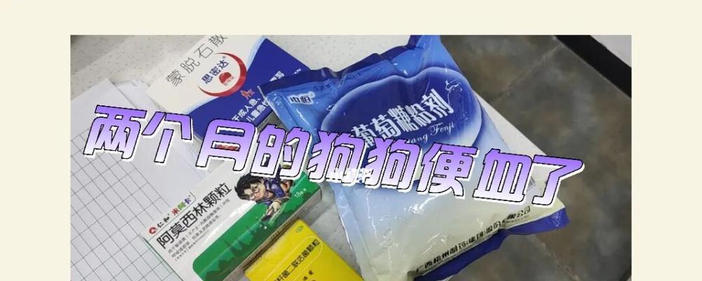如何选择最有效的药物治疗狗狗拉稀？（挑选药物的关键是什么？）