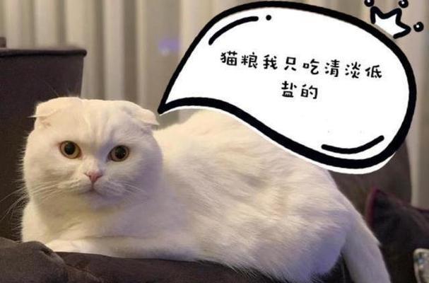 没有猫粮，猫吃什么？（解决无猫粮时猫的饮食问题）