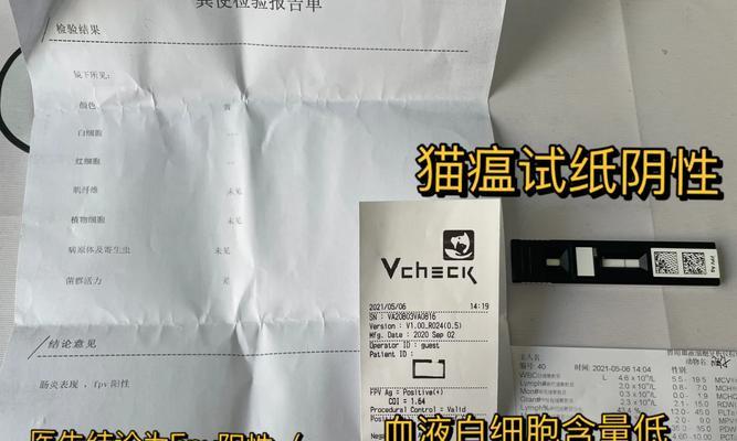 猫瘟的断食疗法（了解猫瘟断食的必要性和效果）