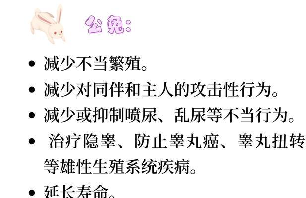 为什么要给兔子绝育？（解答养兔者的疑惑）