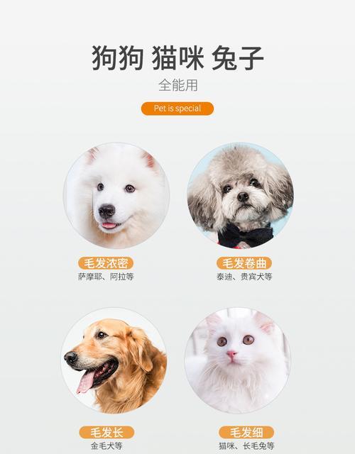 如何合理选择剃狗毛工具（狗毛剪刀、电动剃毛器哪个更适合？）