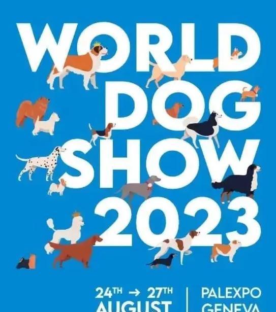 探索世界杯犬展（展现出色的种类和训练）