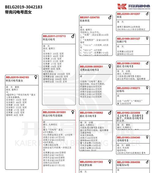 探索cku血统证书的实际应用（揭示血统证书的用途和重要性，助您更好了解cku血统证书）