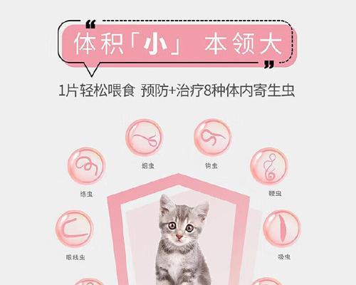 家猫体内寄生虫的原因和预防方法（了解家猫体内寄生虫的主要来源以及如何保护它们的健康）