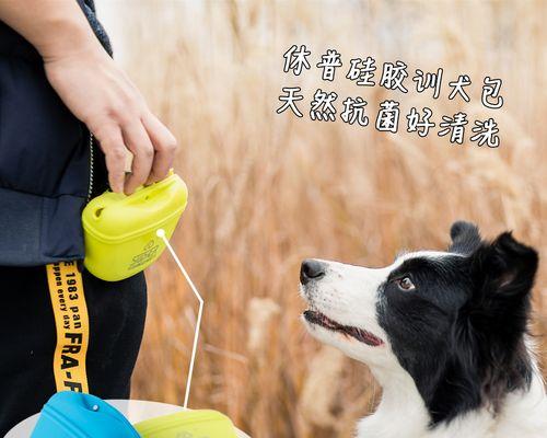 培养狗狗的好习惯（用奖励来激励狗狗学习和表现良好的行为）