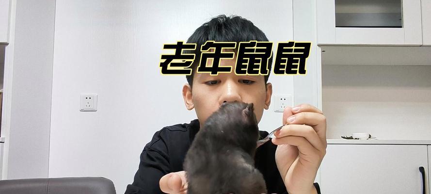 探究仓鼠易上的原因及防治方法（仓鼠喜爱攀爬、逃脱能力强的特性与应对之策）
