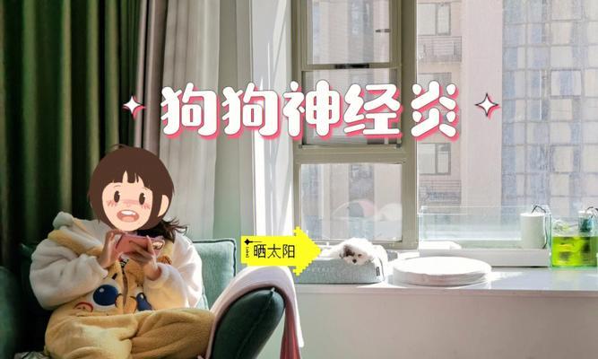 狗狗生病时的叫唤原因与应对方法（探寻狗狗叫唤的根源，提供有效的应对策略）
