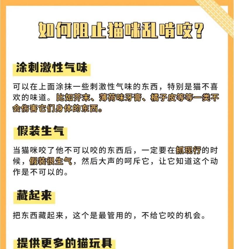 幼猫为什么咬东西？（探究幼猫咬东西的原因和解决方法）