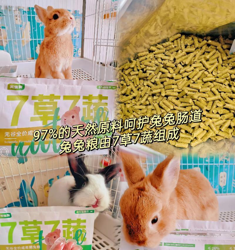 兔子的饮食习性与兔粮的选择（揭秘兔子的美食偏好和兔粮的营养搭配）