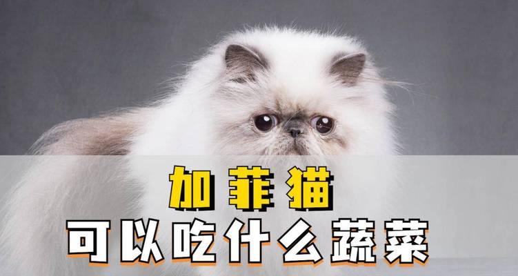 幼猫的蔬菜饮食指南（为你的小猫提供均衡的蔬菜营养）