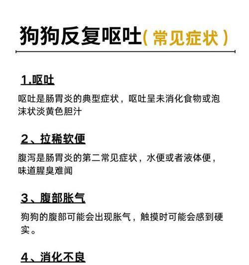 狗狗吐后如何选择适合的食物？（了解狗狗吐后的饮食需求，给它提供最佳护理。）