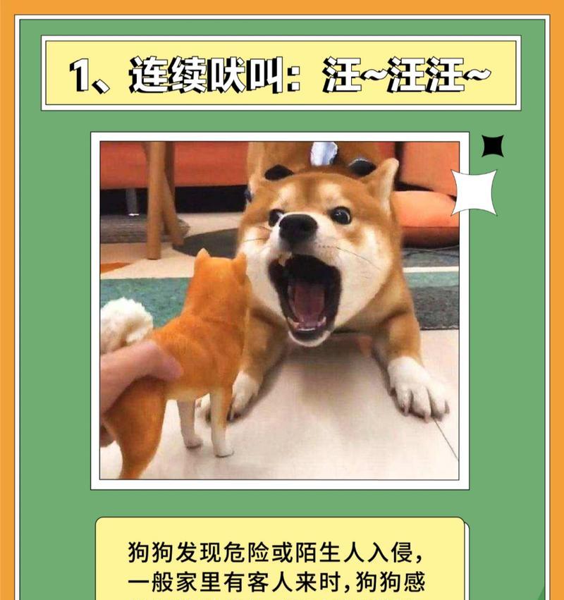 狗声音之解读（探索狗声音的秘密，了解狗儿的情绪与需求）