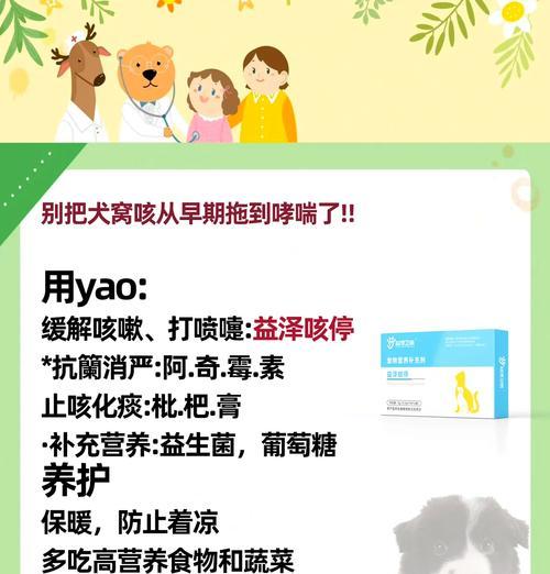 感冒狗狗的症状、药物及护理指南（帮助你了解和照顾患有感冒的毛孩子）