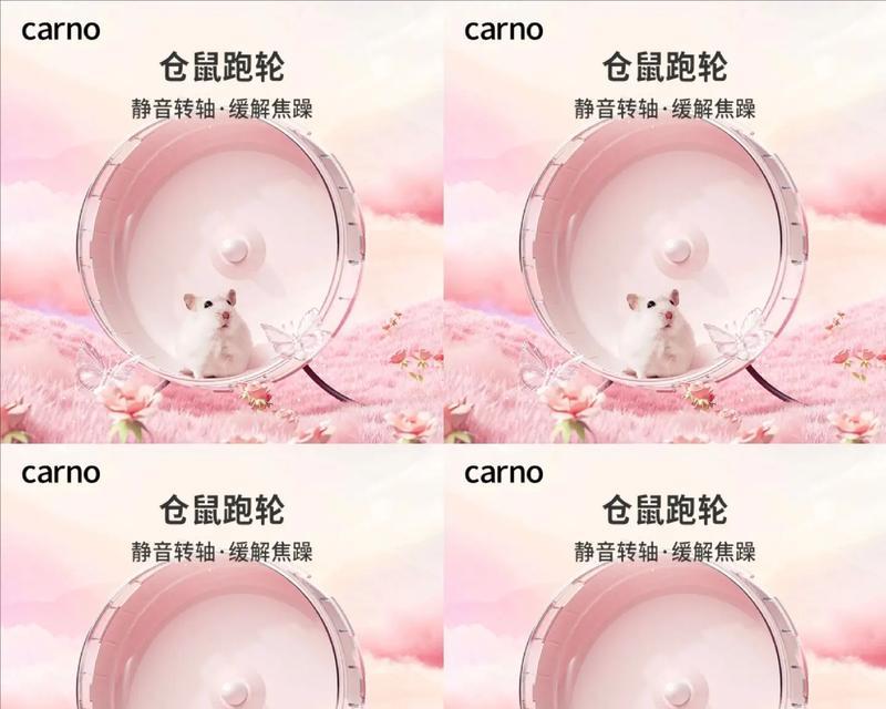 仓鼠跑轮的选择与使用指南（为你的仓鼠提供健康与乐趣的运动方式）