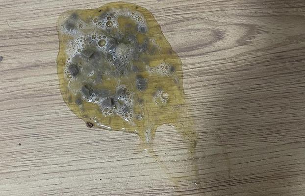 狗狗发烧吐，如何选择合适的药物治疗？（了解狗狗常见的发烧吐症状和治疗药物，保护它们的健康。）