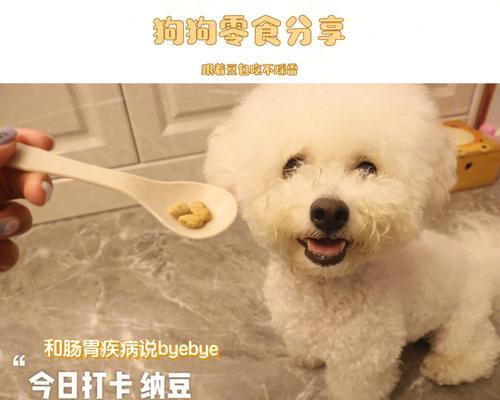 比熊胃不好吃，但还有其他选择（为您提供更健康的食物选择）