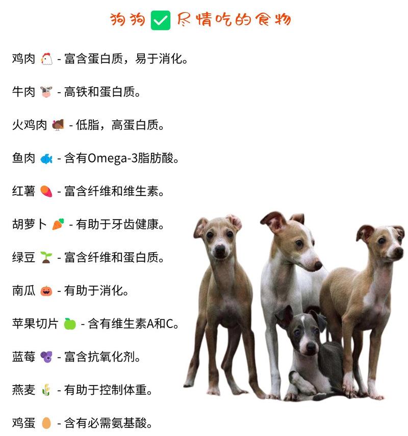 狗的维生素补充需求及如何选择合适的补充剂（了解狗的维生素需求，让你的宠物更健康）