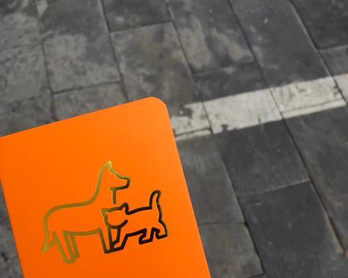 狗疫苗接种的重要性与时间安排（了解狗疫苗接种计划及关键信息）