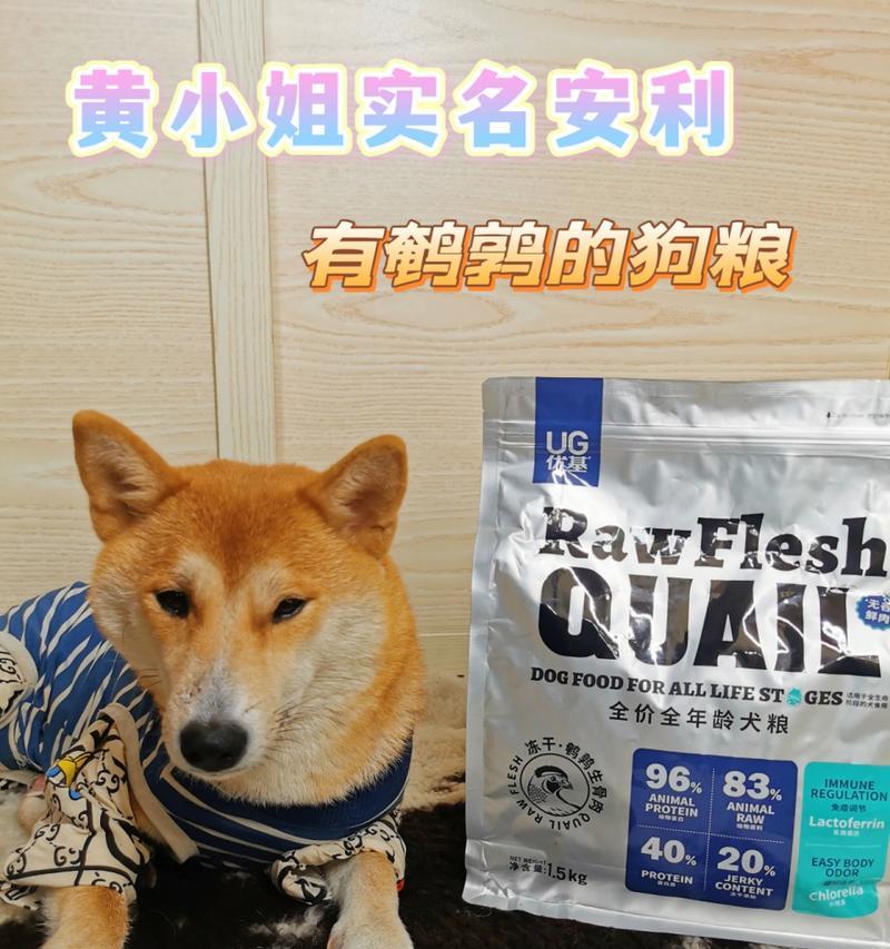狗狗怀孕期间应该吃什么狗粮？（了解适合狗狗怀孕期间的营养需求）