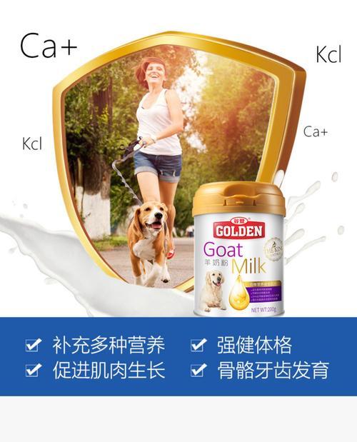 金毛犬补钙选择合适的钙片（营养丰富的钙片为金毛犬健康成长）