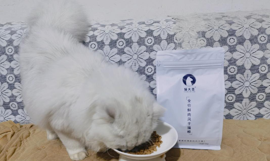 蓝猫没有猫粮该吃什么？（解决蓝猫没有猫粮的食物选择问题）
