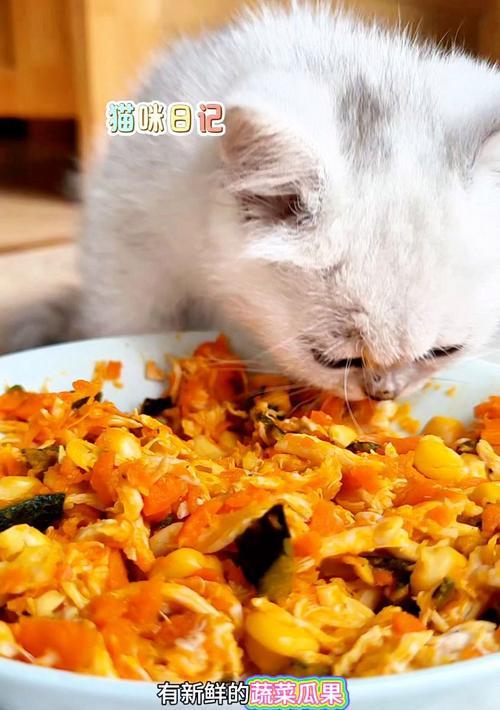 猫咪的蔬菜饮食指南（探索猫咪合适的蔬菜选择与注意事项）
