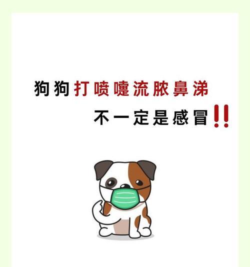 感冒狗狗的症状与治疗方法（了解狗狗感冒的症状，选择适合的药物治疗）