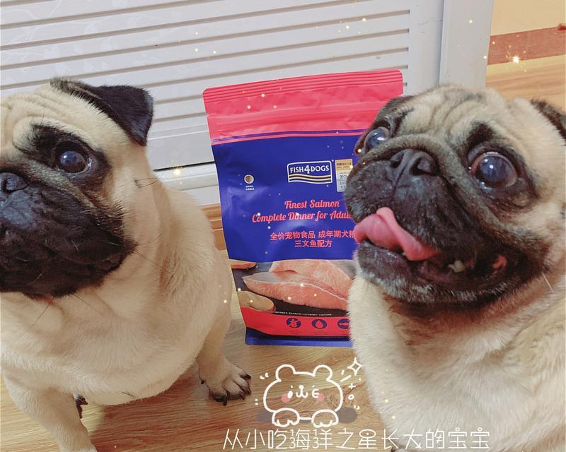 白色狗的美毛秘籍（白色狗如何通过饮食提升毛发质量）