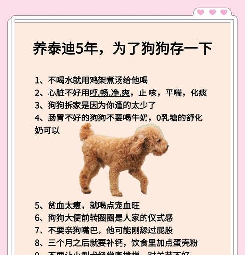 泰迪真菌感染（病情严重度、治疗方法和宠物抵抗力是关键）