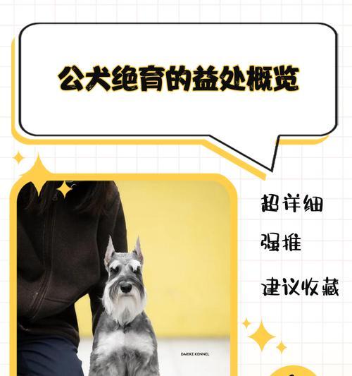 公狗绝育后的变化（探讨公狗绝育对健康、性格和社交行为的影响）