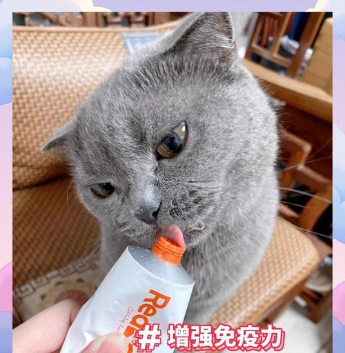 探讨狗狗营养膏的好处及使用建议（营养膏为狗狗提供全面的营养保障）