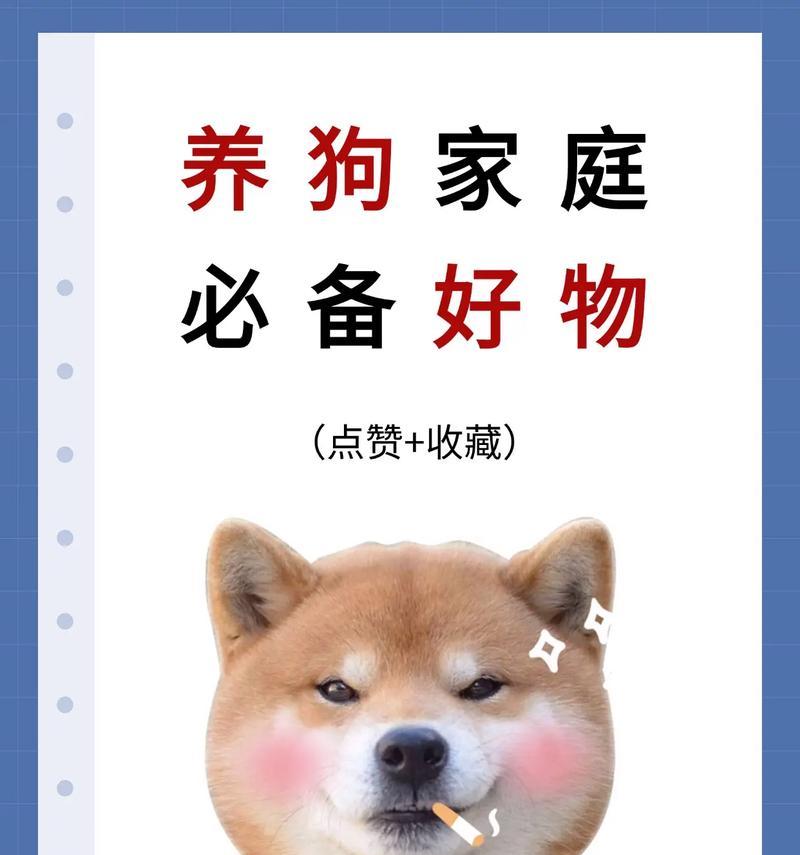 便宜又好养的8种狗，你更喜欢哪种？（以养狗“首选”这8种狗，不仅便宜，还好养）