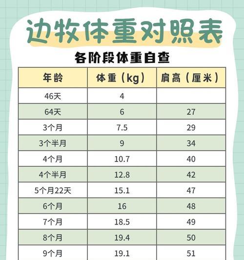 科学喂养宠物狗的饮食要求（了解狗狗每顿和每天的饮食量是如何确定的）