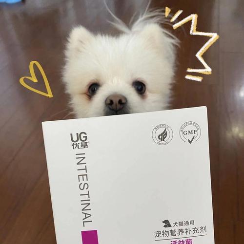 狗狗益生菌的作用及使用时间（揭秘狗狗益生菌的神奇功效，解答使用时间的疑惑）