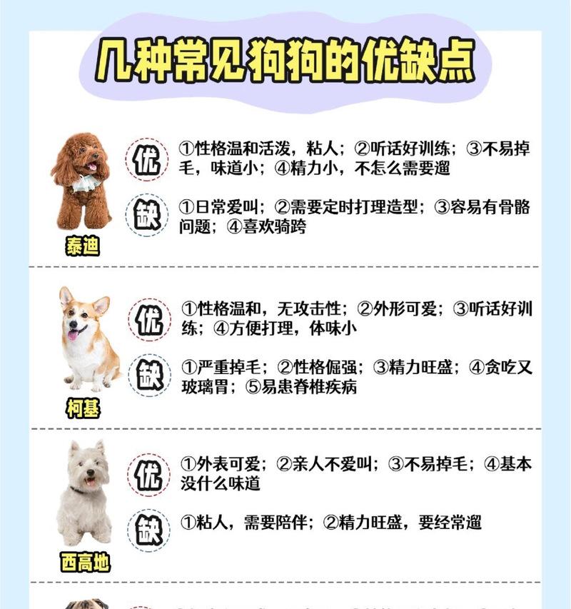 小泰迪狗的月经周期及应对方法（了解小泰迪狗的月经周期，有效管理狗狗的生理期）