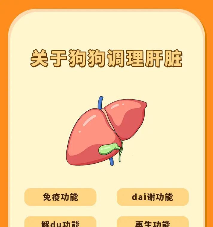 煮鸡肝给狗狗，掌握熟度要诀（鸡肝烹调时间探秘，你知道吗？）