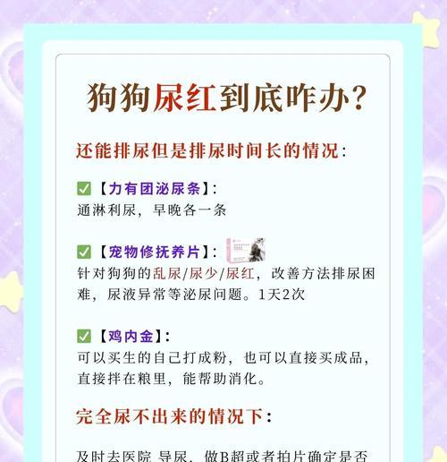 狗狗尿道发炎（了解狗狗尿道发炎的症状及其原因，并探讨有效的治疗方法）
