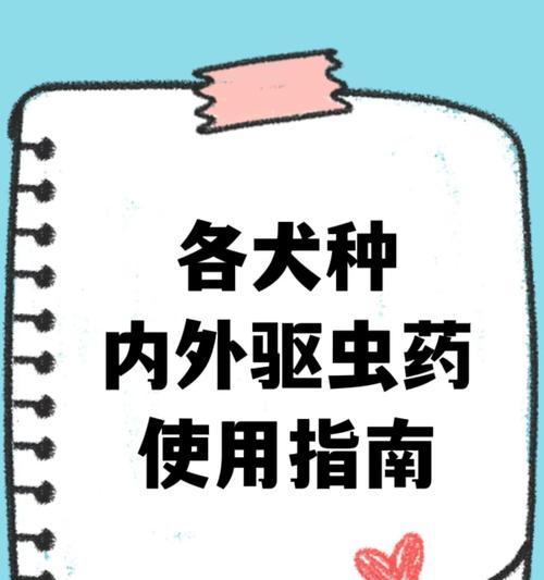 宝宝泰迪的驱虫时间表（新生泰迪如何进行合理驱虫，保护健康成长）