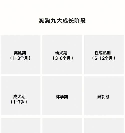 狗狗的生长发育（探索狗狗成长的关键阶段及注意事项）