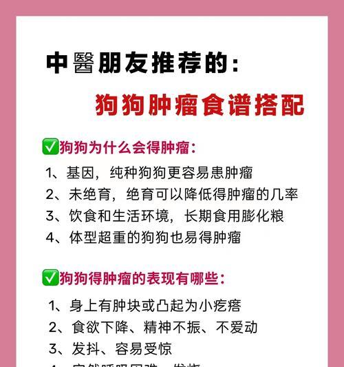 狗狗生病了能吃人用药物治疗？（相似发病机理但剂量不同的关键性区别）