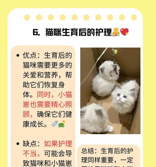猫咪何时可以食用鸡蛋？（了解猫咪食用鸡蛋的最佳时间和注意事项）