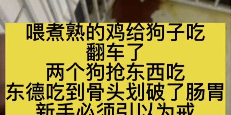 探讨狗肠胃划伤的症状及处理方法（了解狗肠胃划伤的症状与治疗，提升宠物健康）