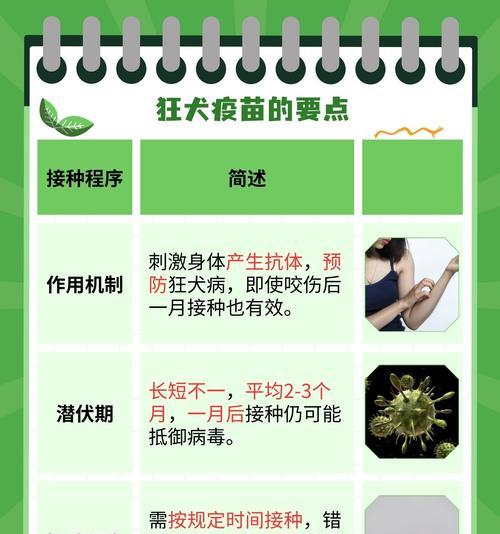 狗疫苗稀释不打可以放多久？（保护你的宠物免受疾病侵袭的关键是及时接种）