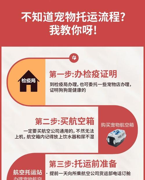 快速取到空运狗狗的秘诀（了解时间及关键要素，顺利领养您的宠物伙伴）